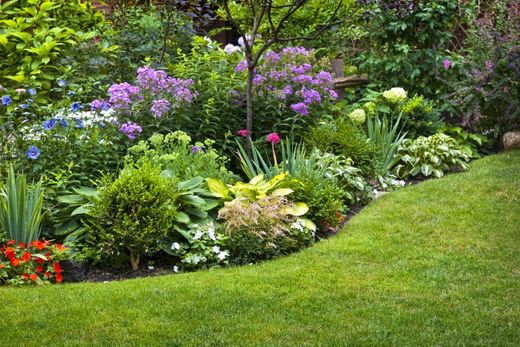 Gartengestaltung mit Rasenfläche und mehreren Blüh- und Grünpflanzen